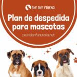 despedida de mascotas