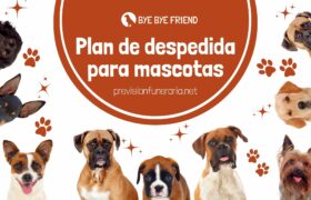 Planes de despedida para mascotas.