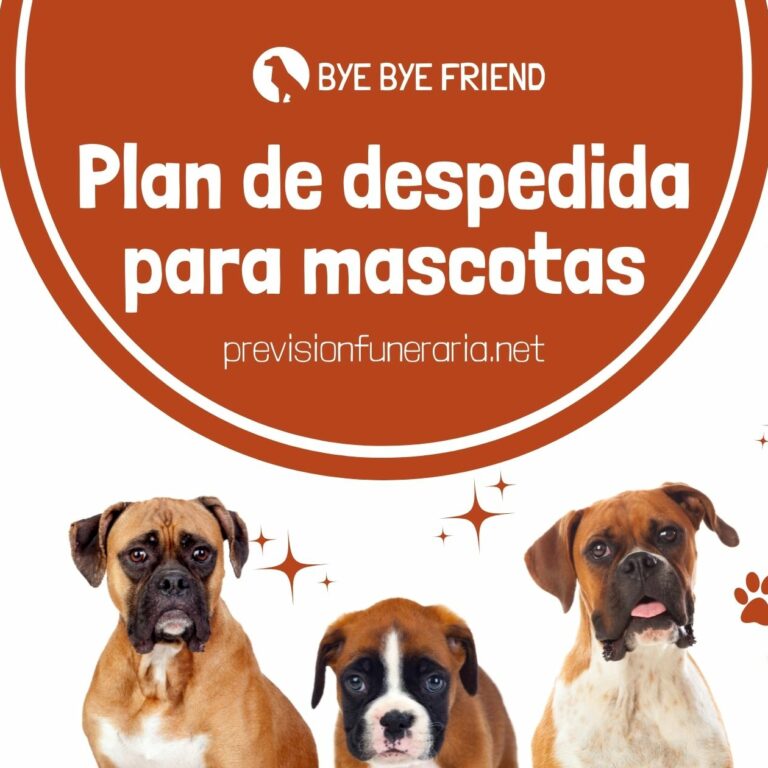 despedida de mascotas