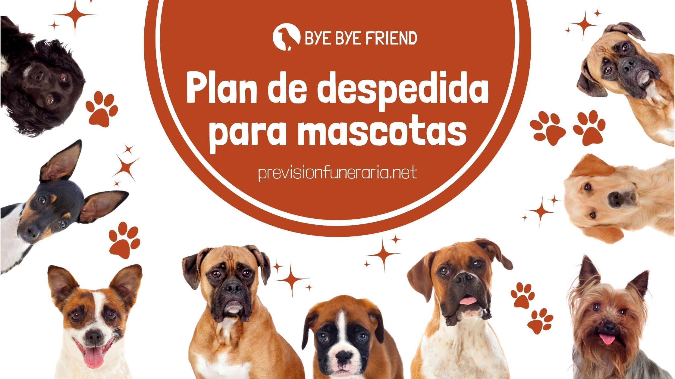 despedida de mascotas