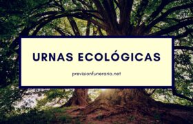 ¿Cómo funcionan las urnas ecológicas?