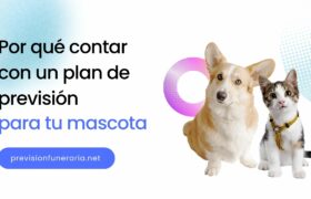 Plan de previsión para mascotas.