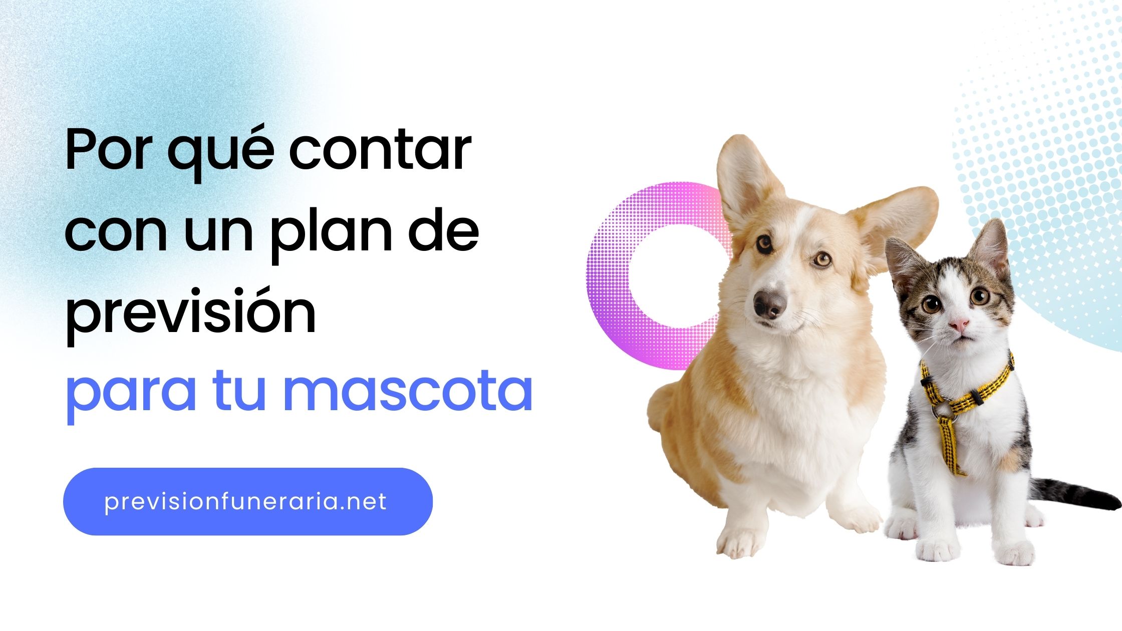 plan-mascotas