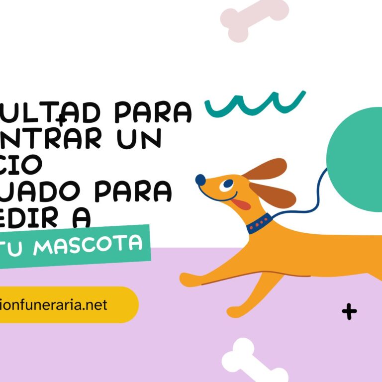 espacio-adecuado