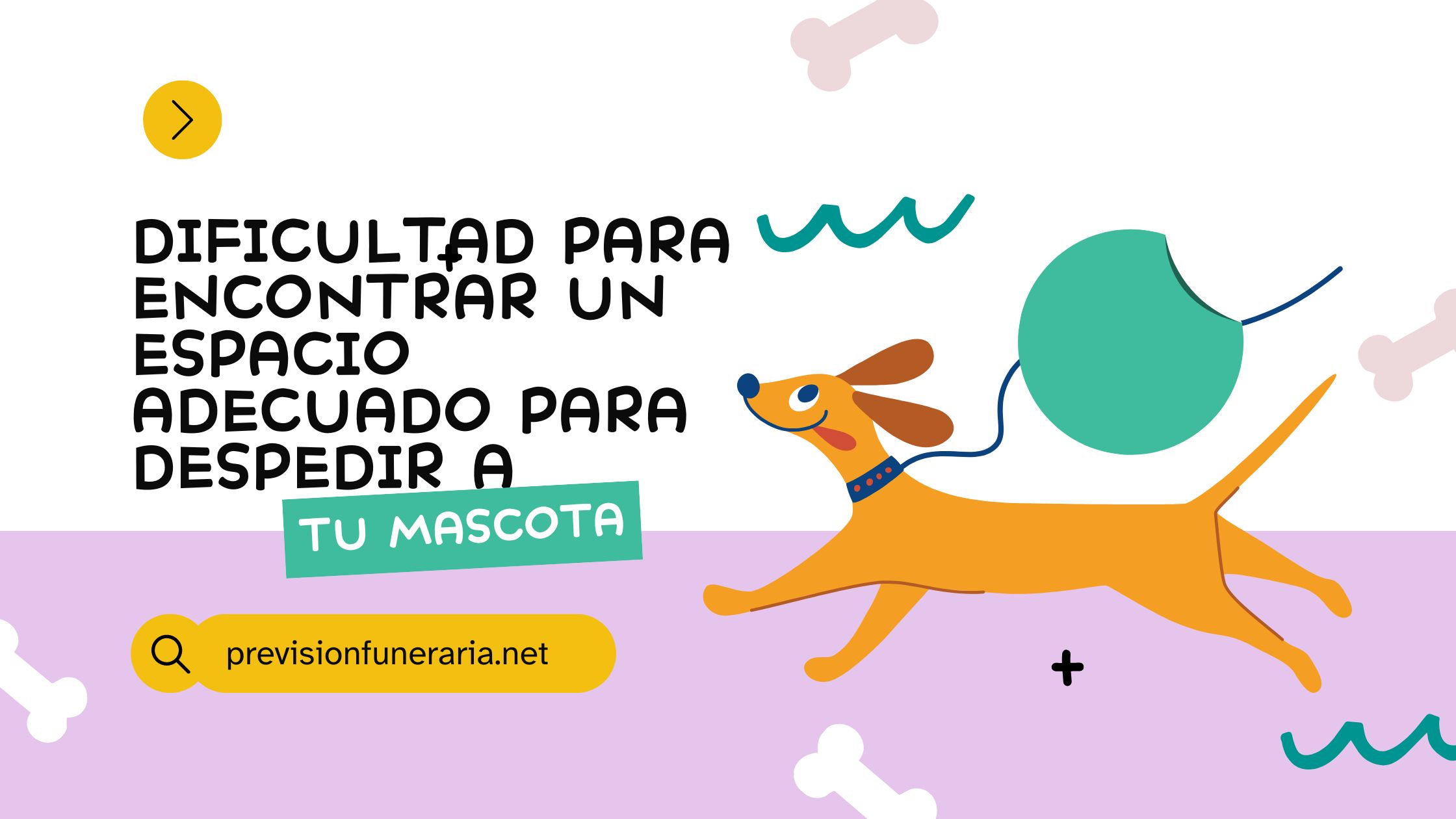 Dificultad para encontrar un espacio adecuado para despedir a tu animal de compañía.