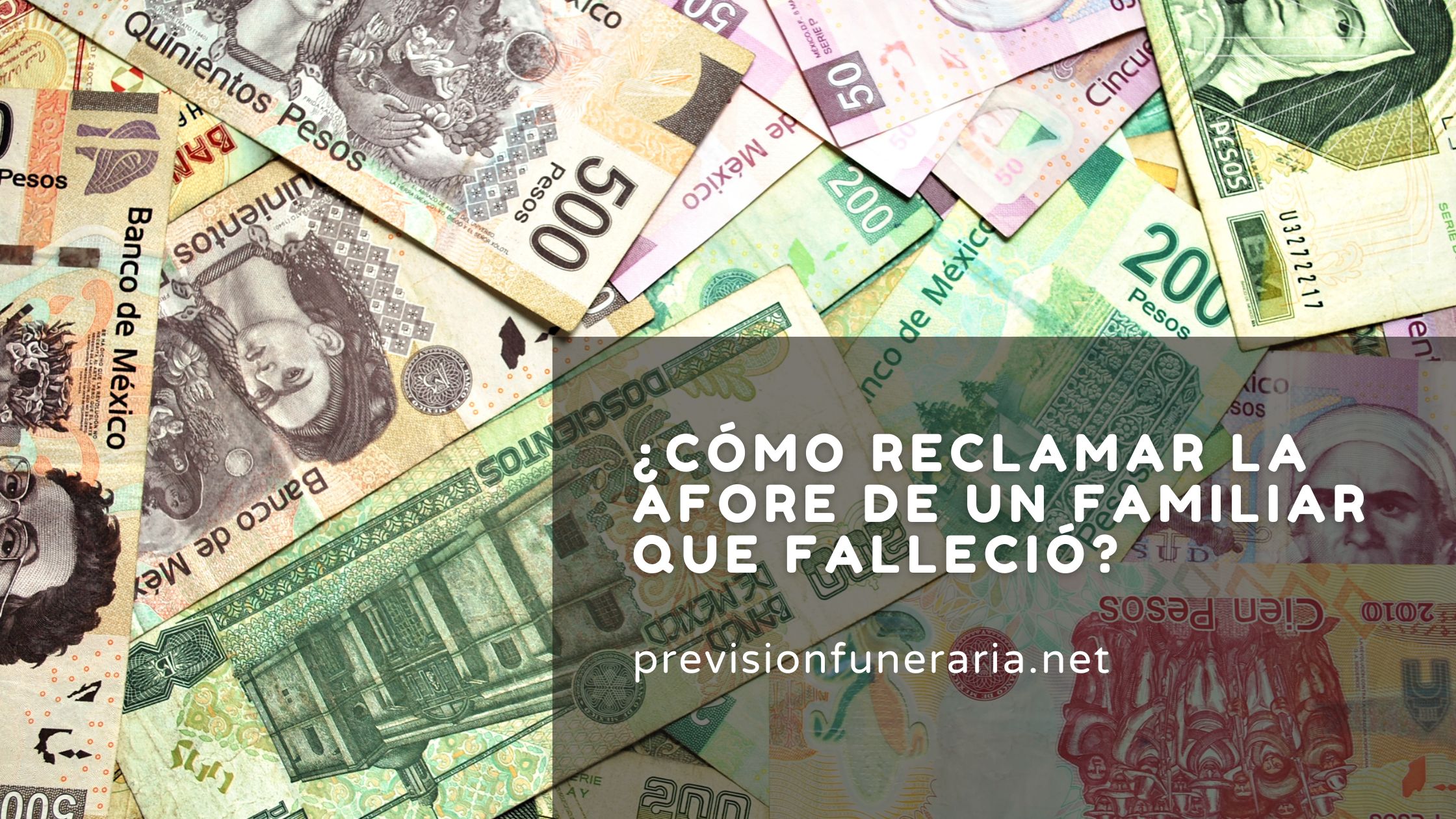 como-reclamar-la-afore
