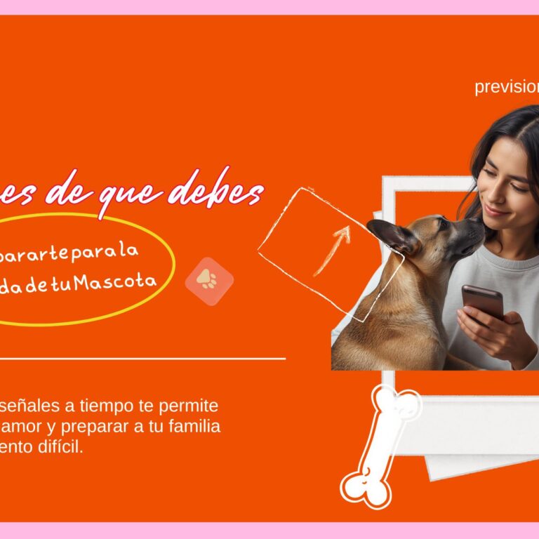 pérdida de mascota