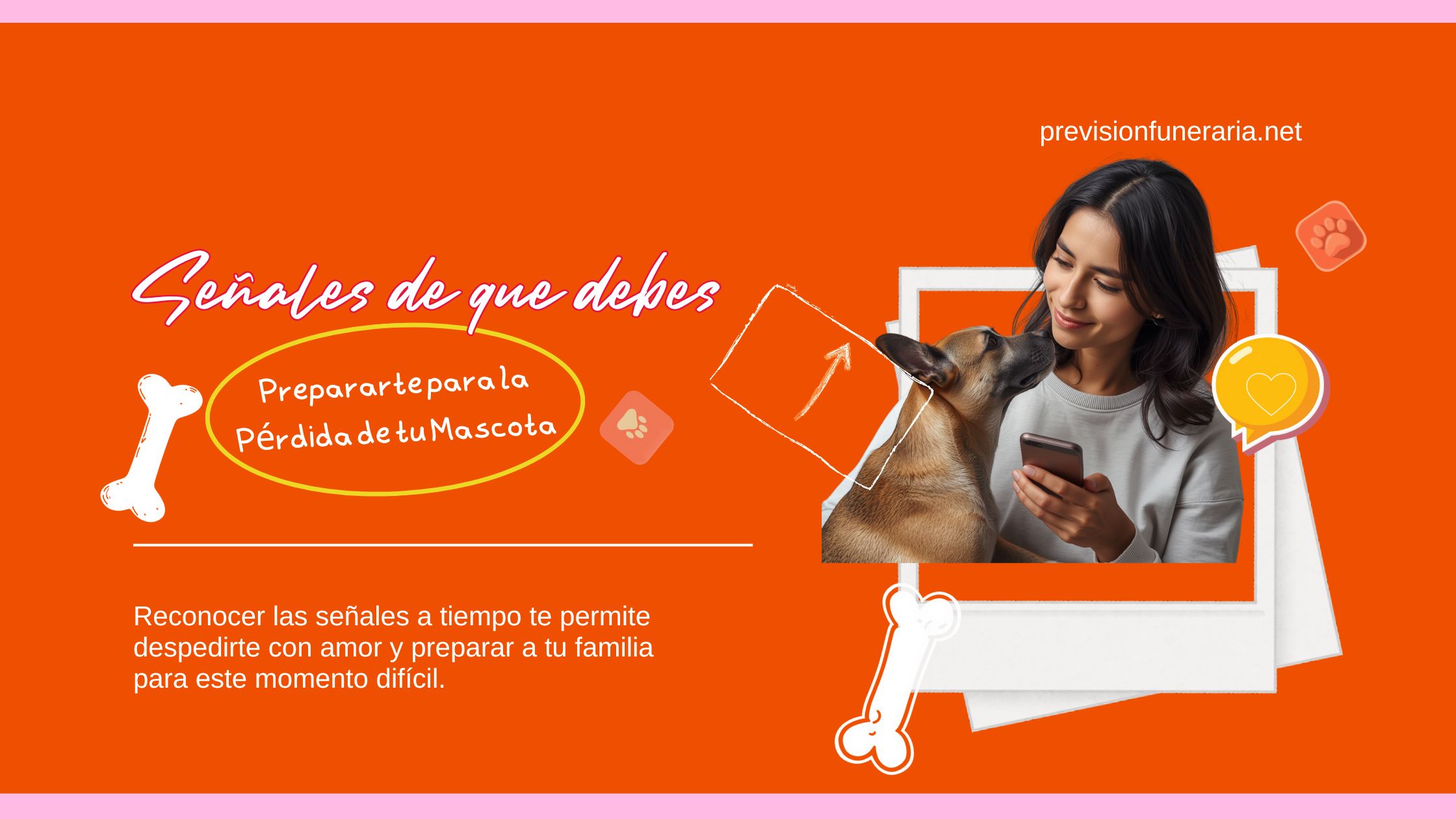pérdida de mascota