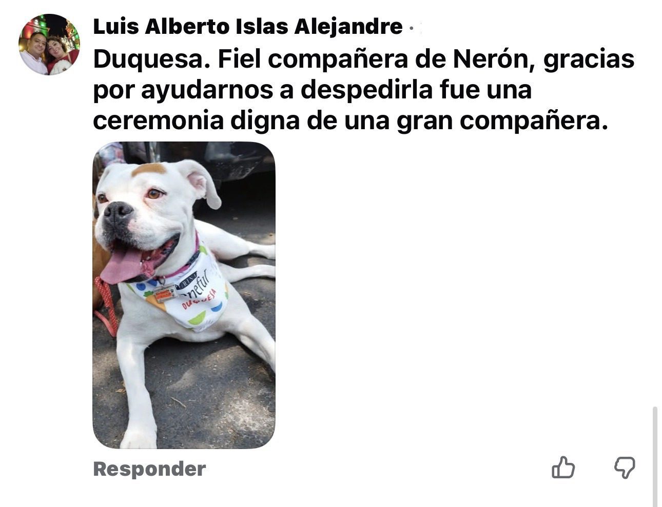 Imagen 2