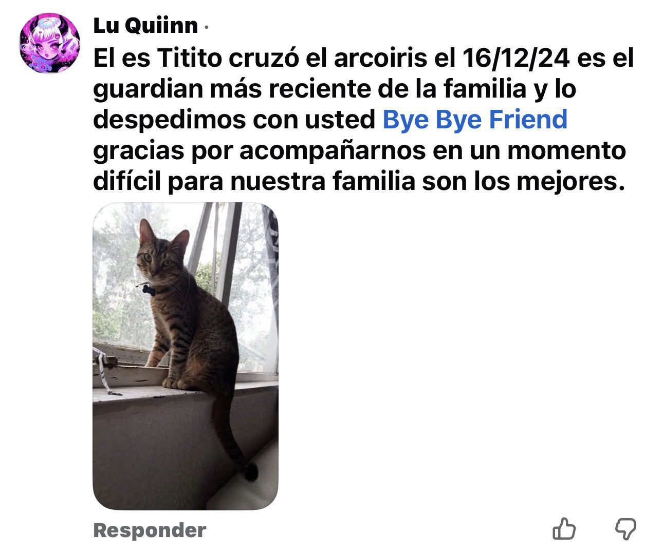 Imagen 3